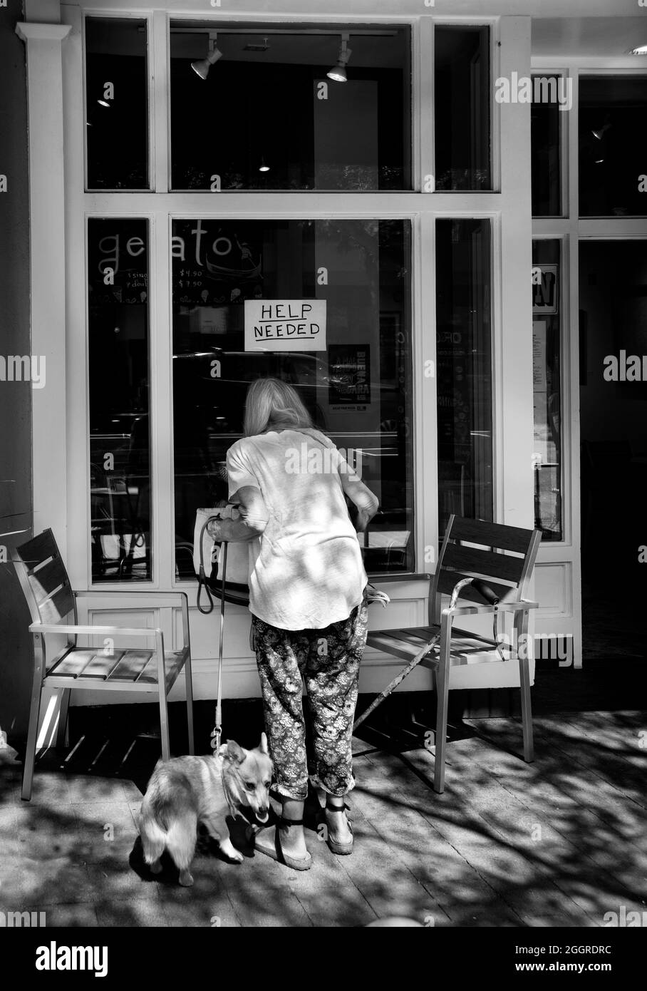 A senior woman with a dog prepares to sit at an outdoor table at a cafe in Santa Fe, New Mexico, which has a Help Wanted sign on its window. Stock Photo