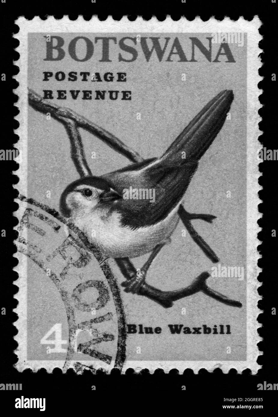 Stamp print in Botswana,birds,Blue Waxbill Stock Photo