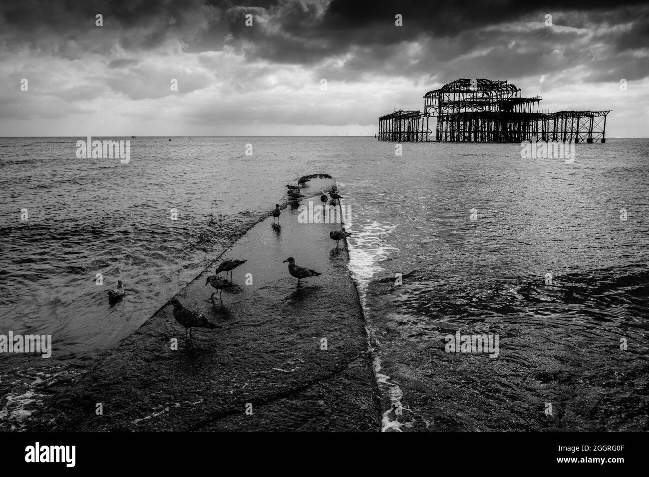 Brighton groyne Black and White Stock Photos & Images - Alamy