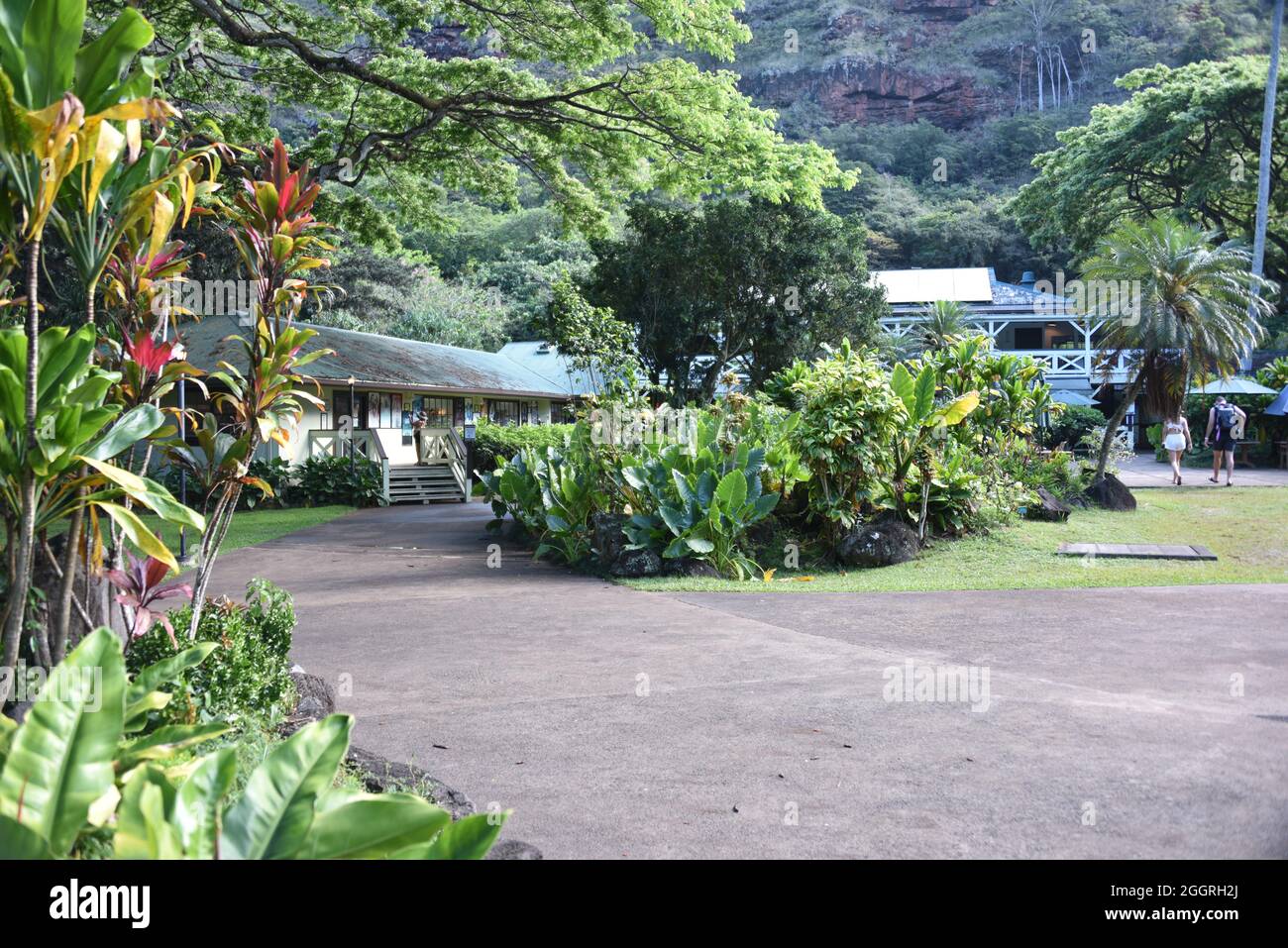 Oahu, HI U.S.A. 6/4&7/2021. Waimea Valley Visitors Center. Waimea