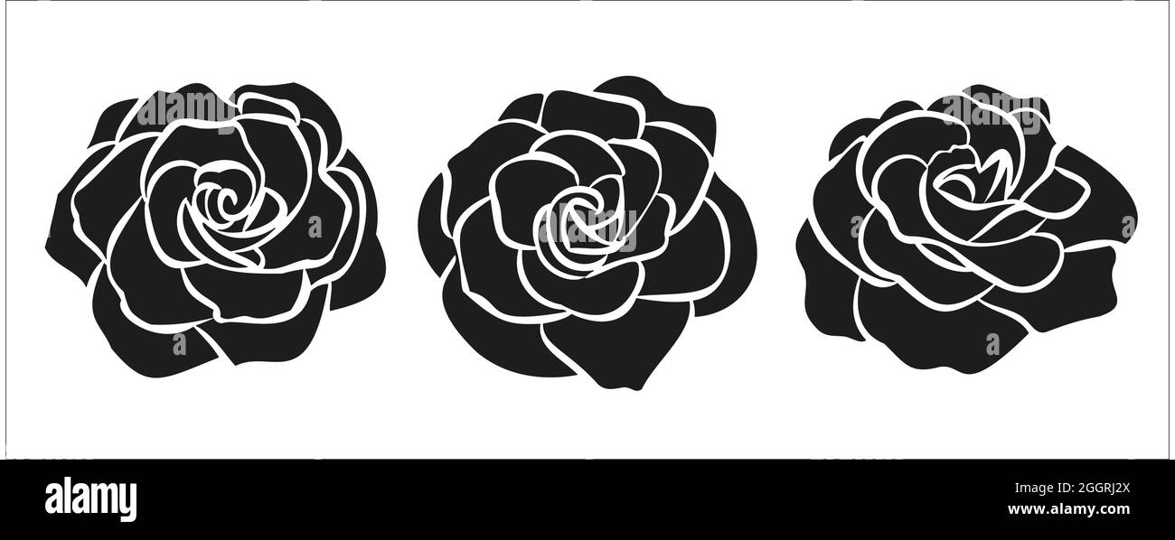 Rose flower hand drawn ilustration for logo Stock Vector Image & Art ...