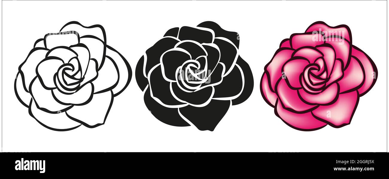 Rose flower hand drawn ilustration for logo Stock Vector Image & Art ...