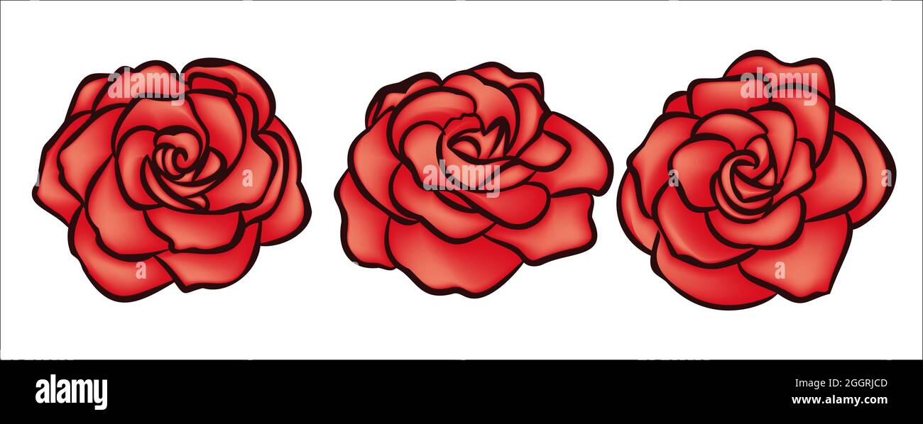 Rose flower hand drawn ilustration for logo Stock Vector Image & Art ...
