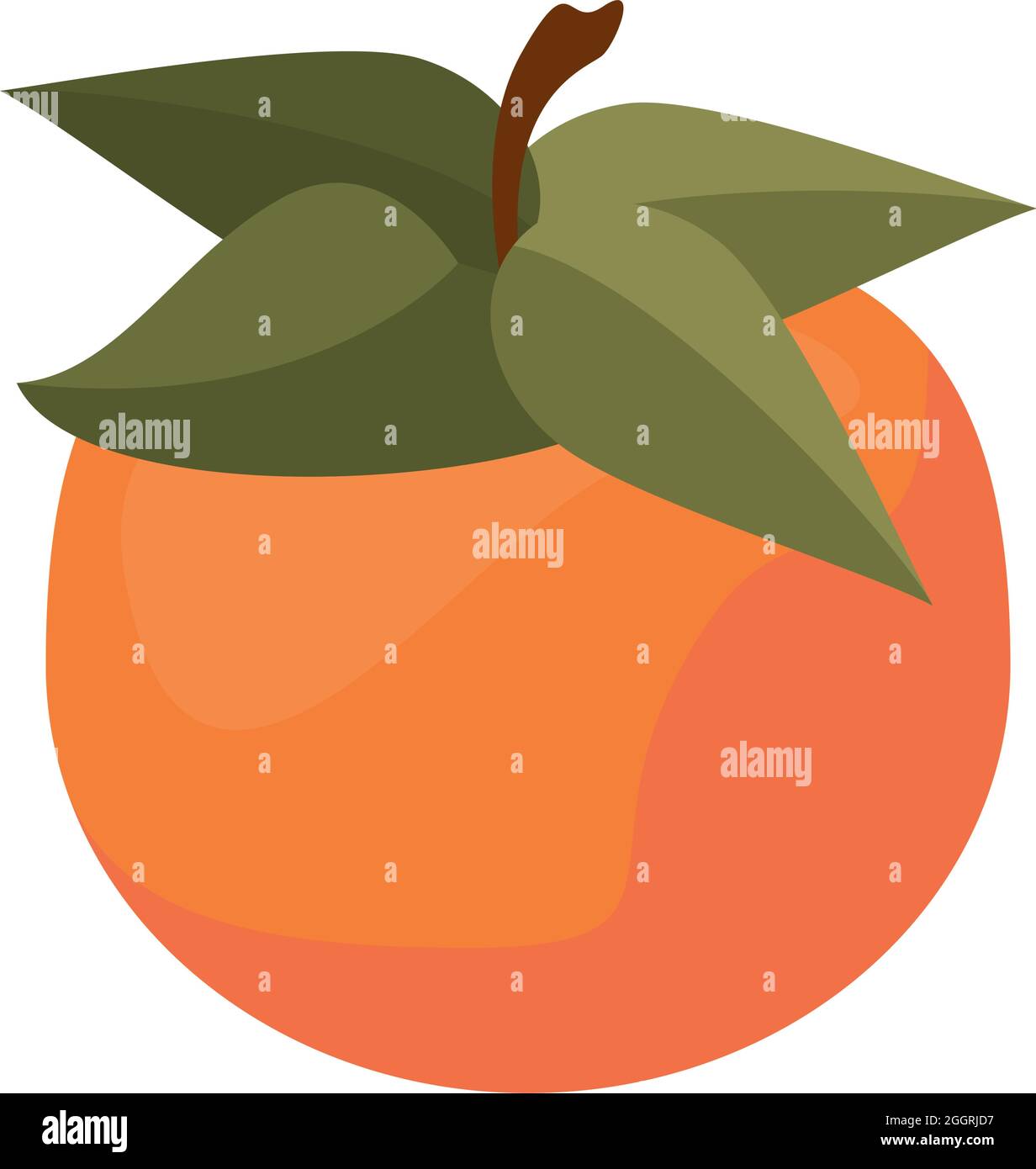 fresh orange fruit Stock Vector Image & Art - Alamy