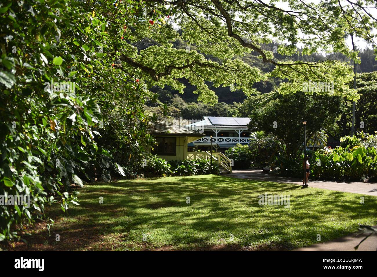 Oahu, HI U.S.A. 6/4&7/2021. Waimea Valley Visitors Center. Waimea