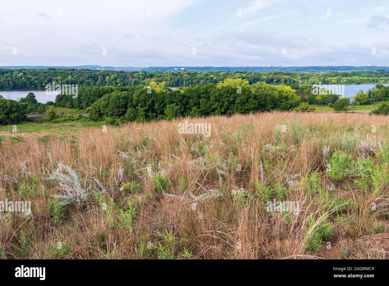 grey cloud dunes scientific natural area overlooking mooers lake part