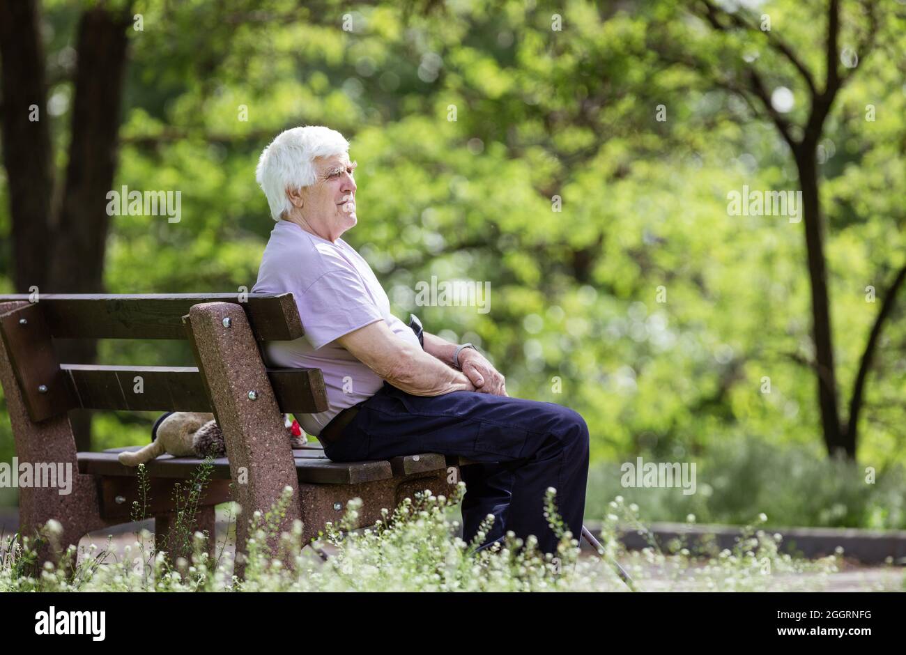 Pensive senior man sitting on bench in summer park Stock