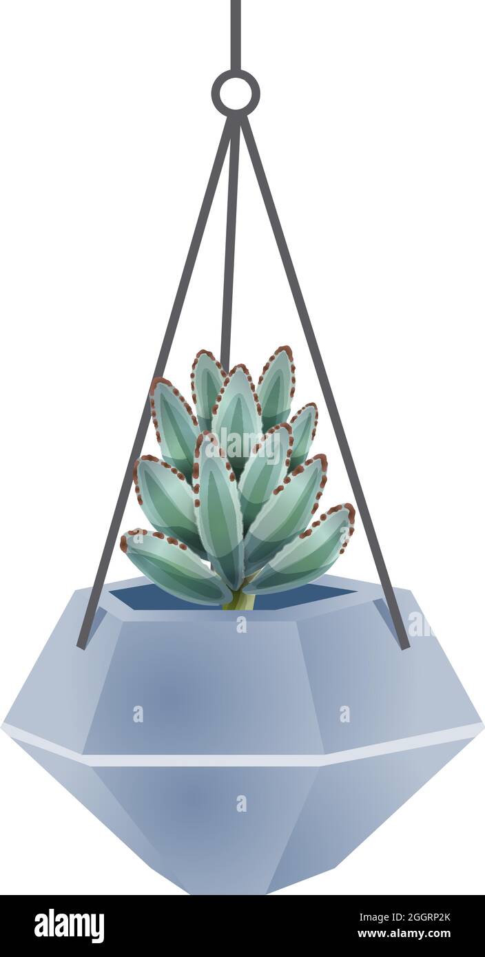 Cactus composition with isolated image of agave cactus in flower pot on blank background vector illustration Stock Vector