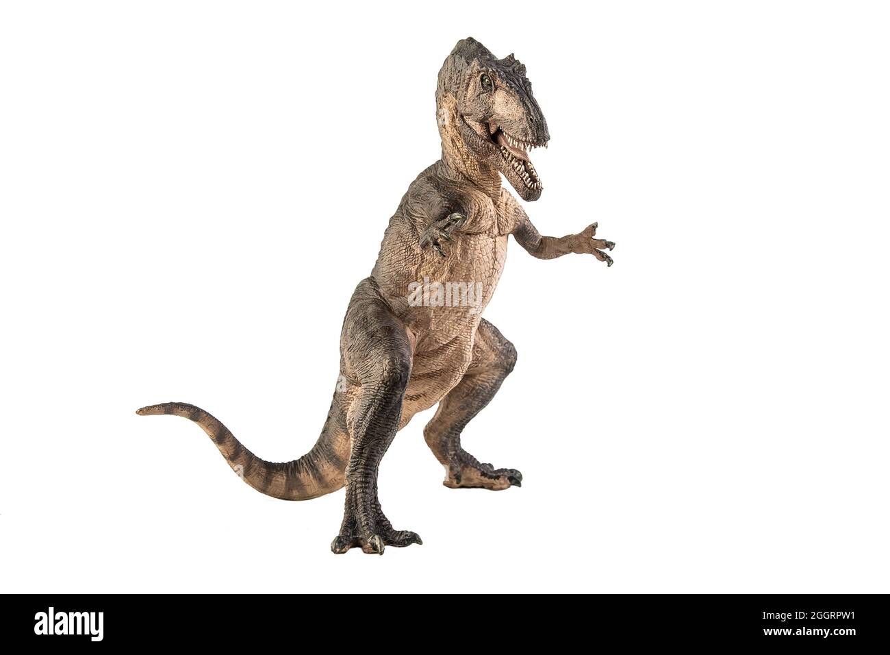 Dino Cut Out Stock Images & Pictures - Alamy