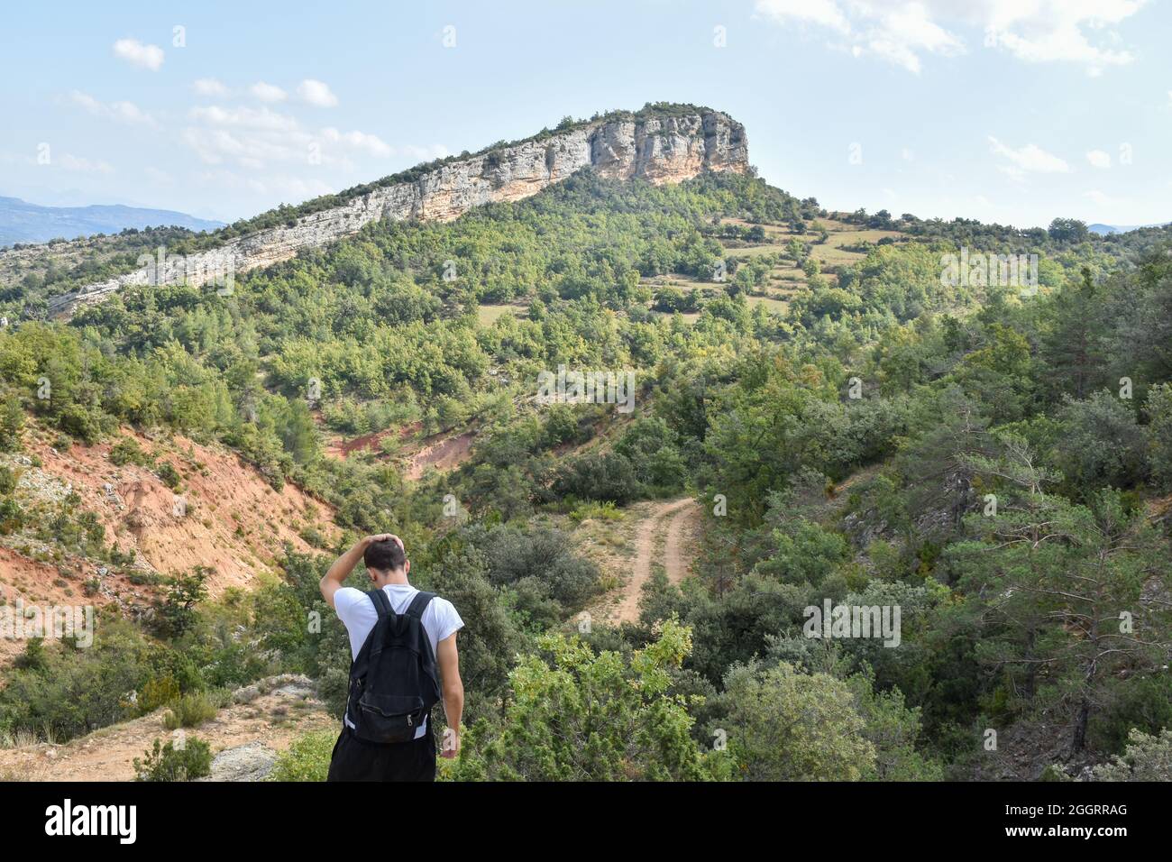 Boy suitcase forest hires stock photography and images Alamy