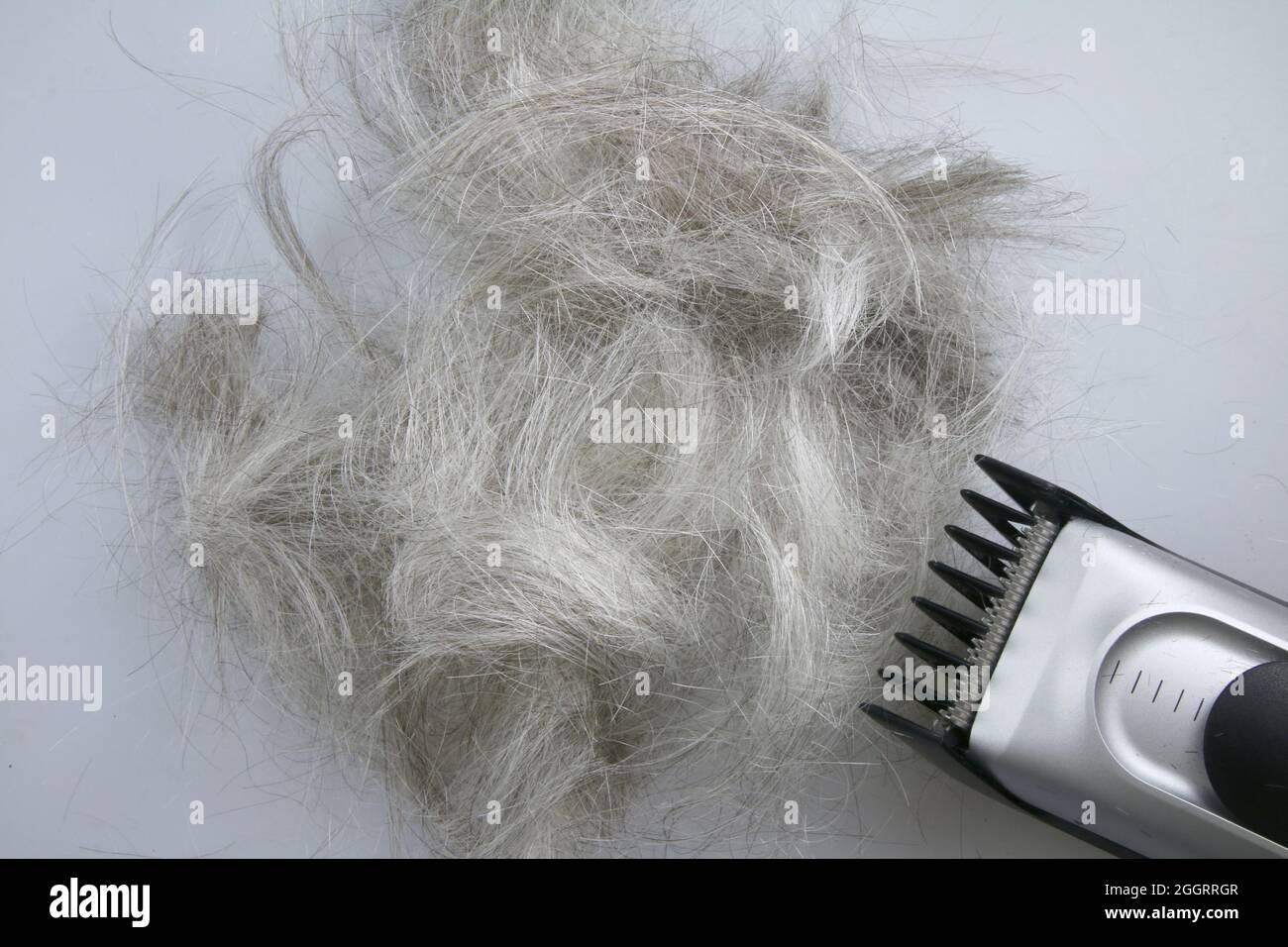 Haircutter With Gray Hair Stock Photo
