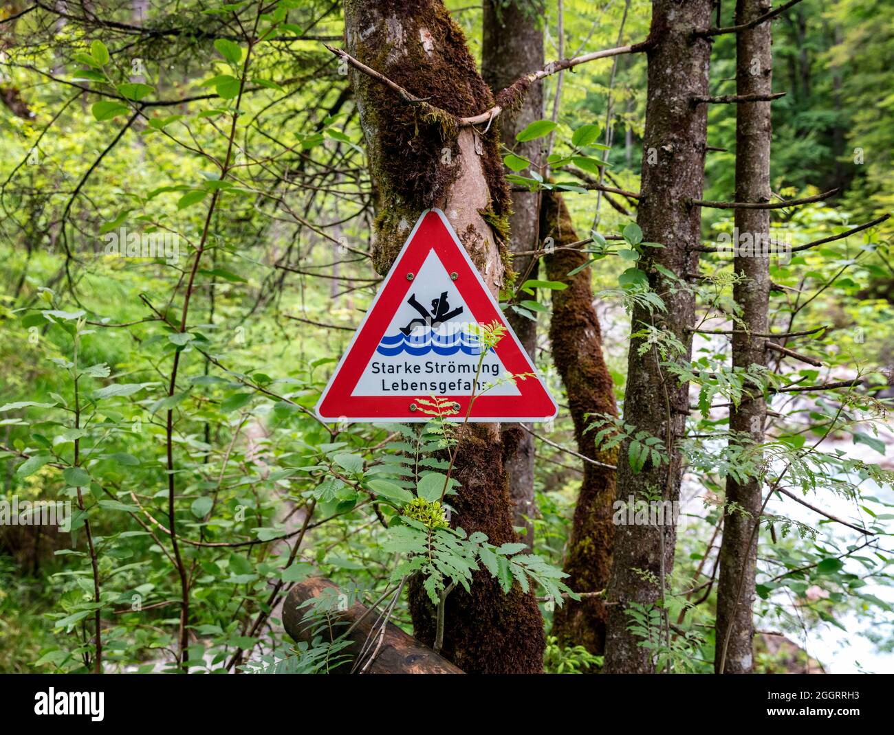 Warning Sign Danger To Life By A Stream In The Forest Stock Photo