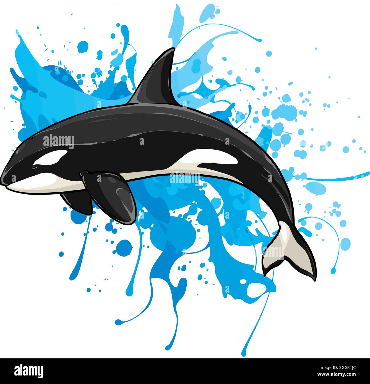 vector illustration of Killer whale isolated watercolor splash Stock