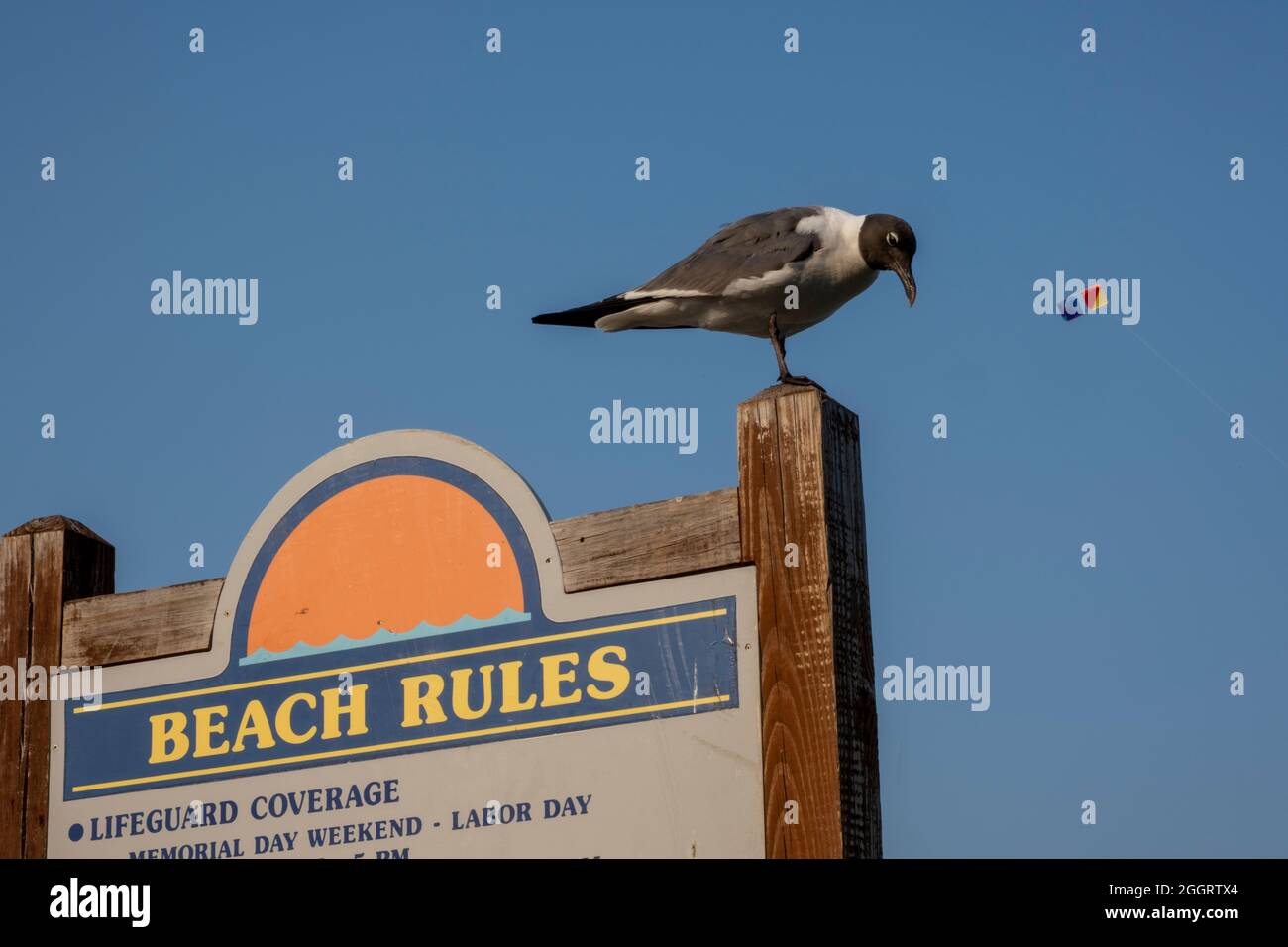 Bethany beach hires stock photography and images Alamy