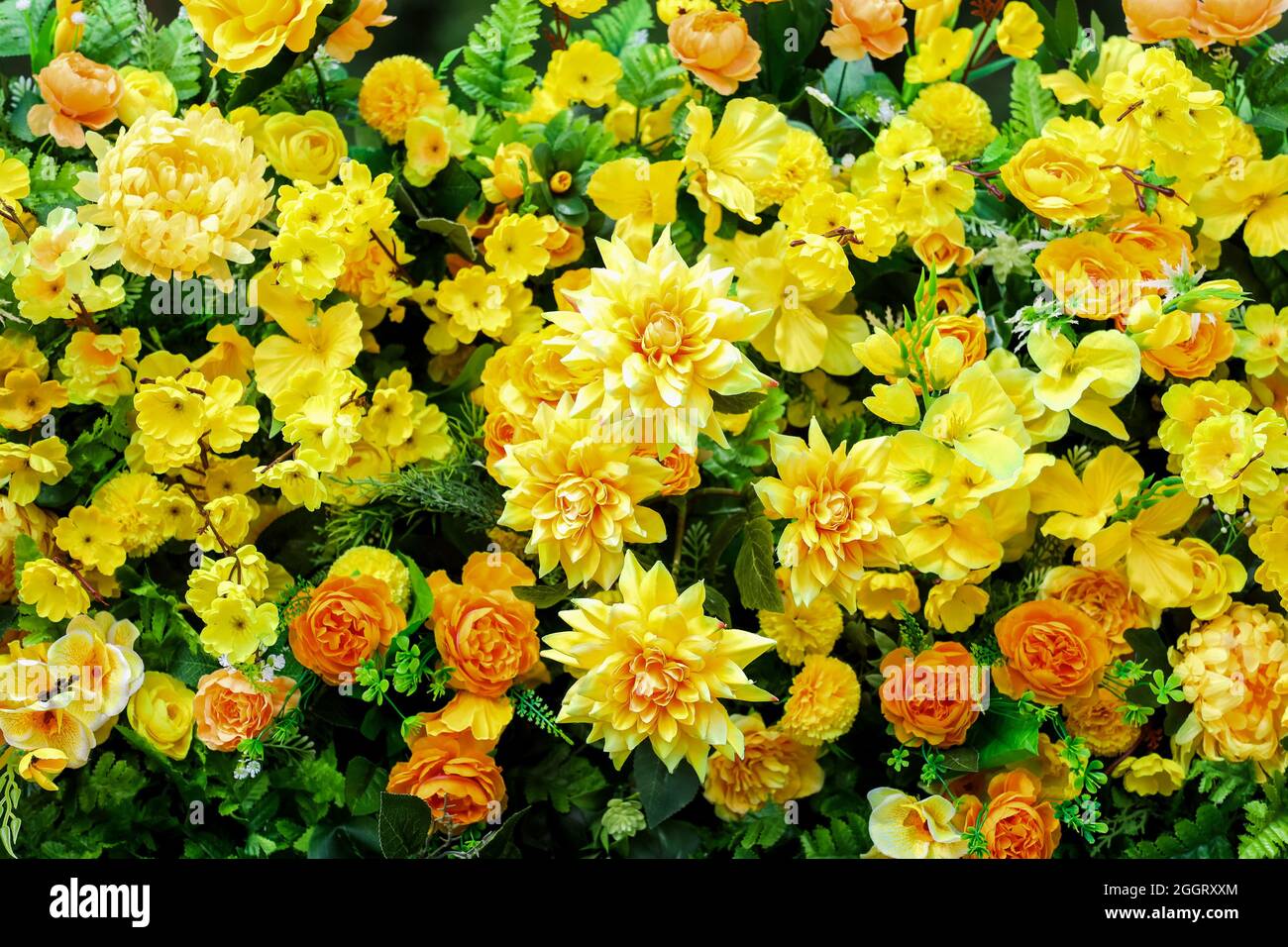 Yellow and orange flowers, green leaves, a background Stock Photo Alamy