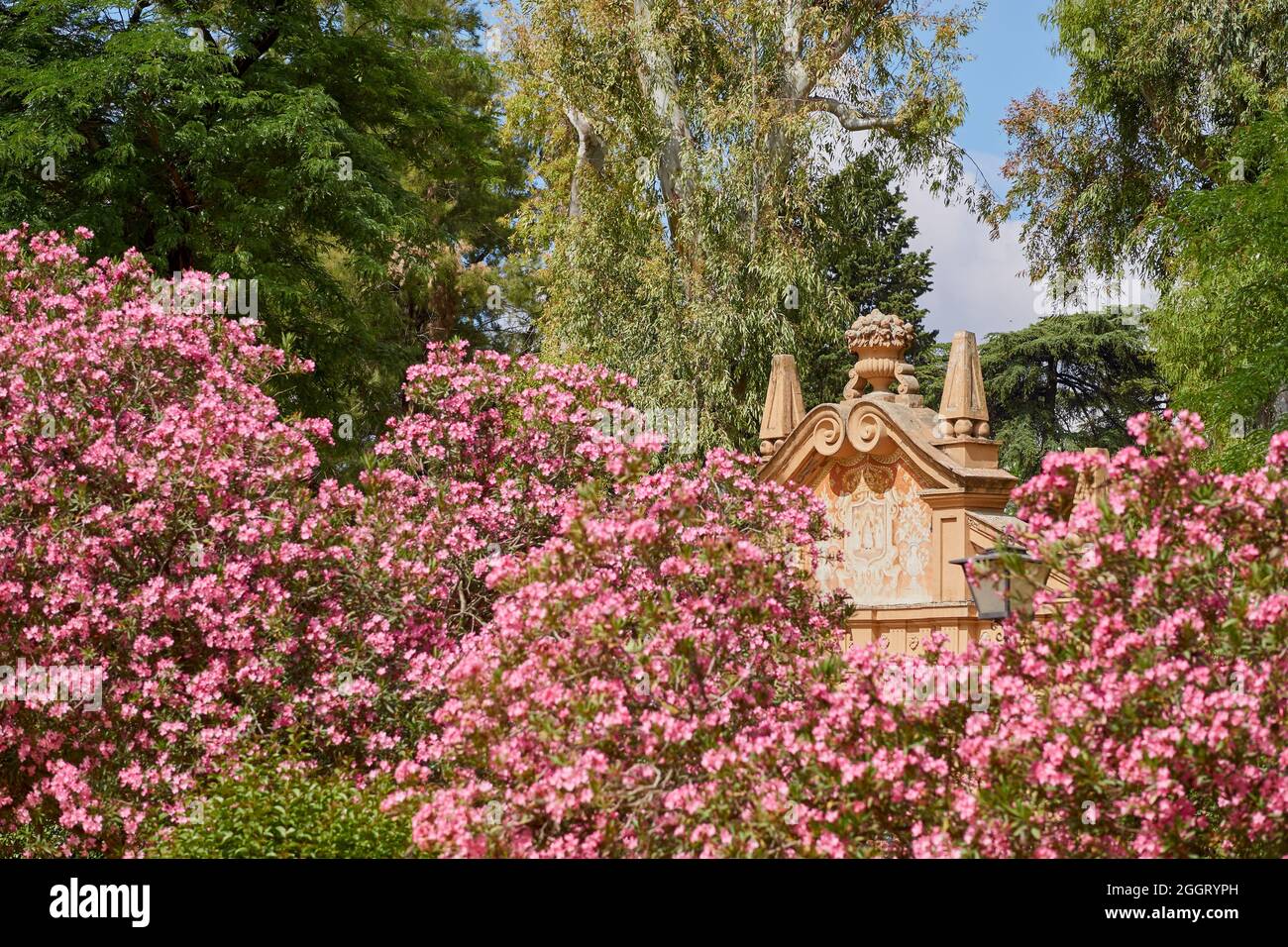 In the park of the Royal Palace (Jardin del Real Alcazar) in Seville, Spain Stock Photo