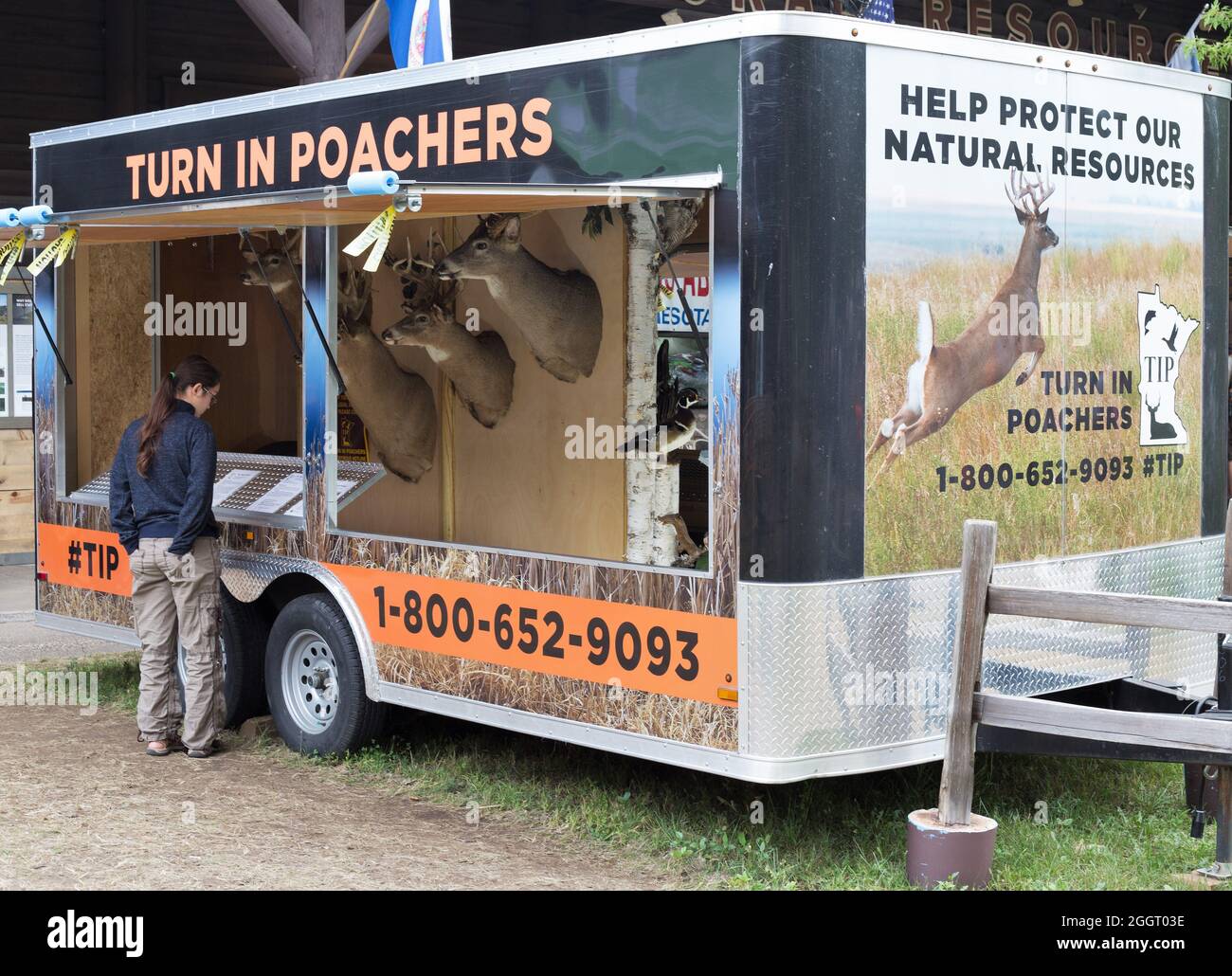 Poaching Deer High Resolution Stock Photography and Images Alamy