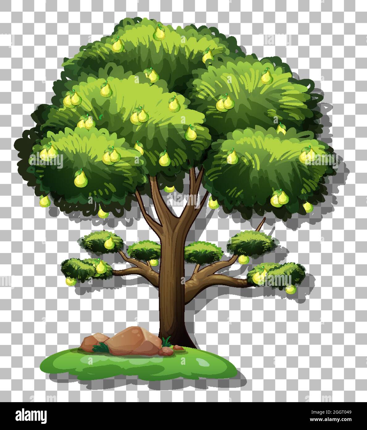 Pear tree on transparent background illustration Stock Vector Image & Art -  Alamy