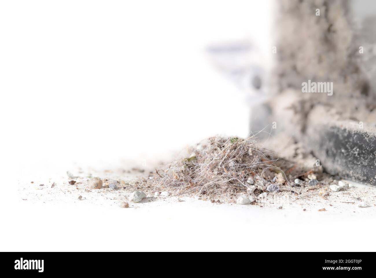 Dirt debris pile next to cyclonic vacuum canister filled up with of dust, debris, pet fur and hair. Closeup of overfilled container after cleaning the Stock Photo