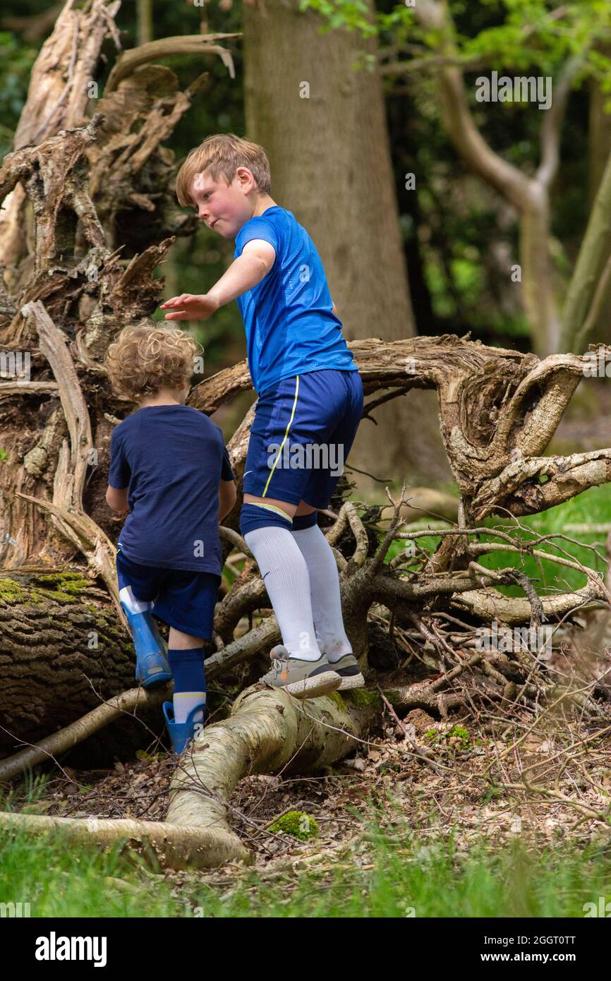 Two young boys, one following the other expecting to follow the older to climb over fallen tree trunk, without falling. Old brother distancing himself. Stock Photo