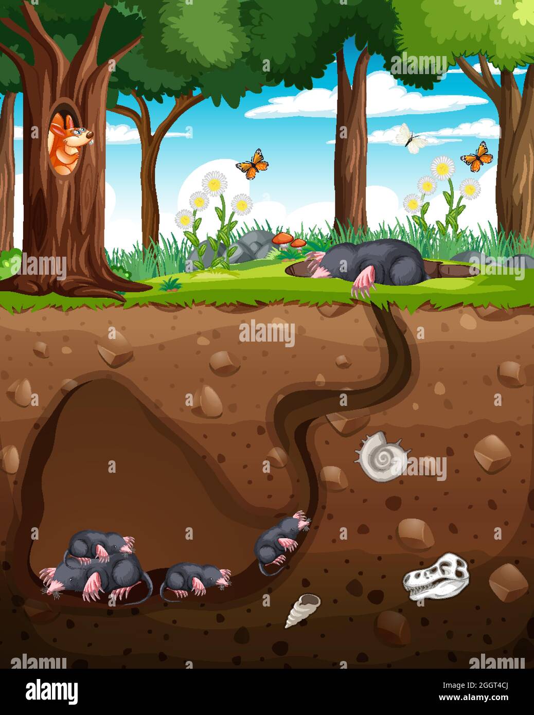 Underground animal burrow with mole family illustration Stock Vector ...