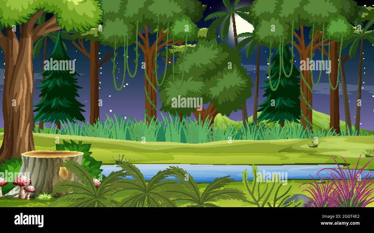 Forest landscape scene at night with many different trees illustration ...