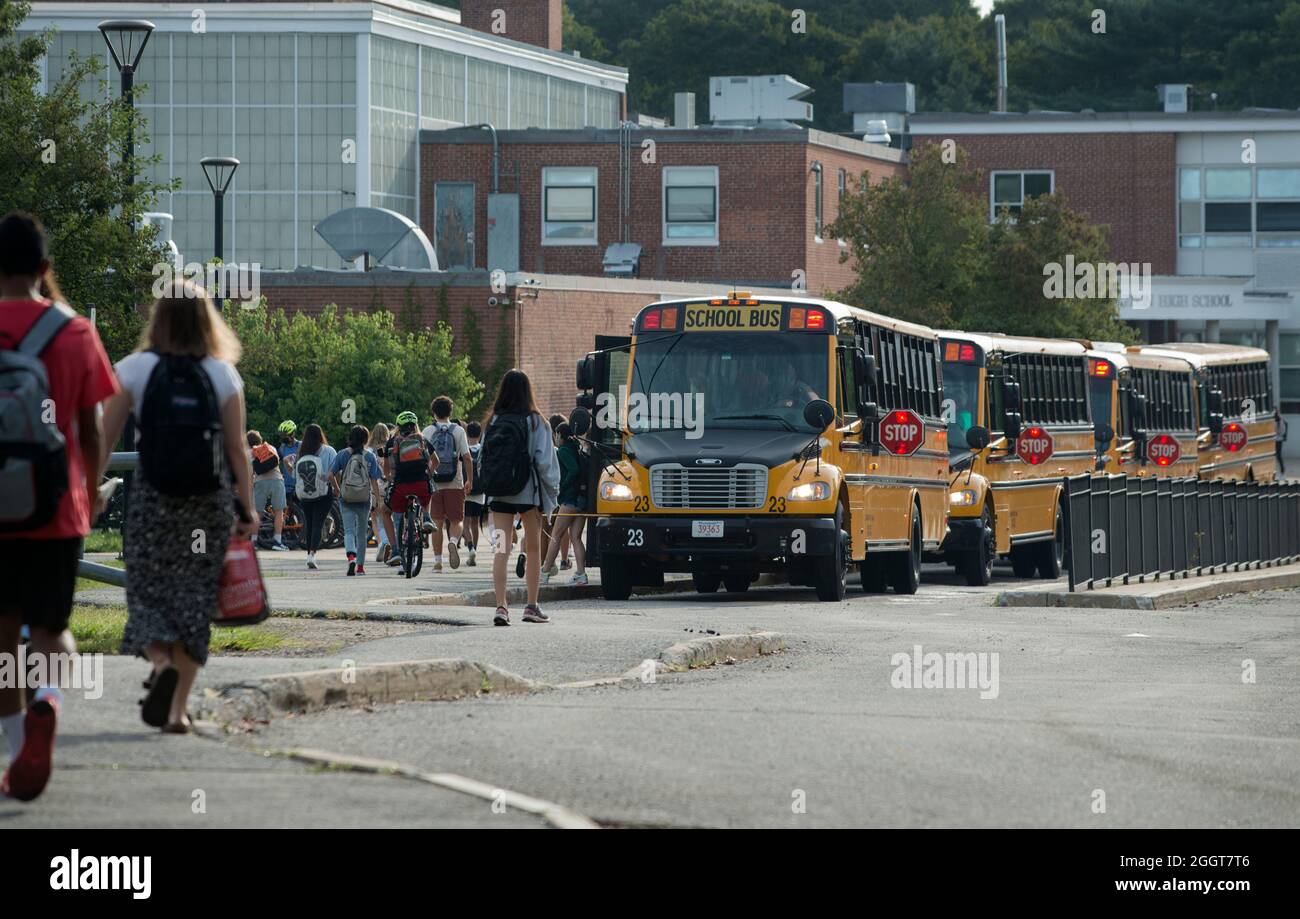 First day of school at Lexington High School, Lexington, Massachusetts, USA.  31 August 2021.  Lexington is a town, population over 33,000, 10 miles (16km) northwest of Boston.  More than 2,200 students are enrolled for the 2021-22 school year.  All students, Teachers and staff are currently required to wear a face covering or mask when indoors or unable to social distance.  Photo shows students and school buses in the morning at the main entrance of the school. Stock Photo