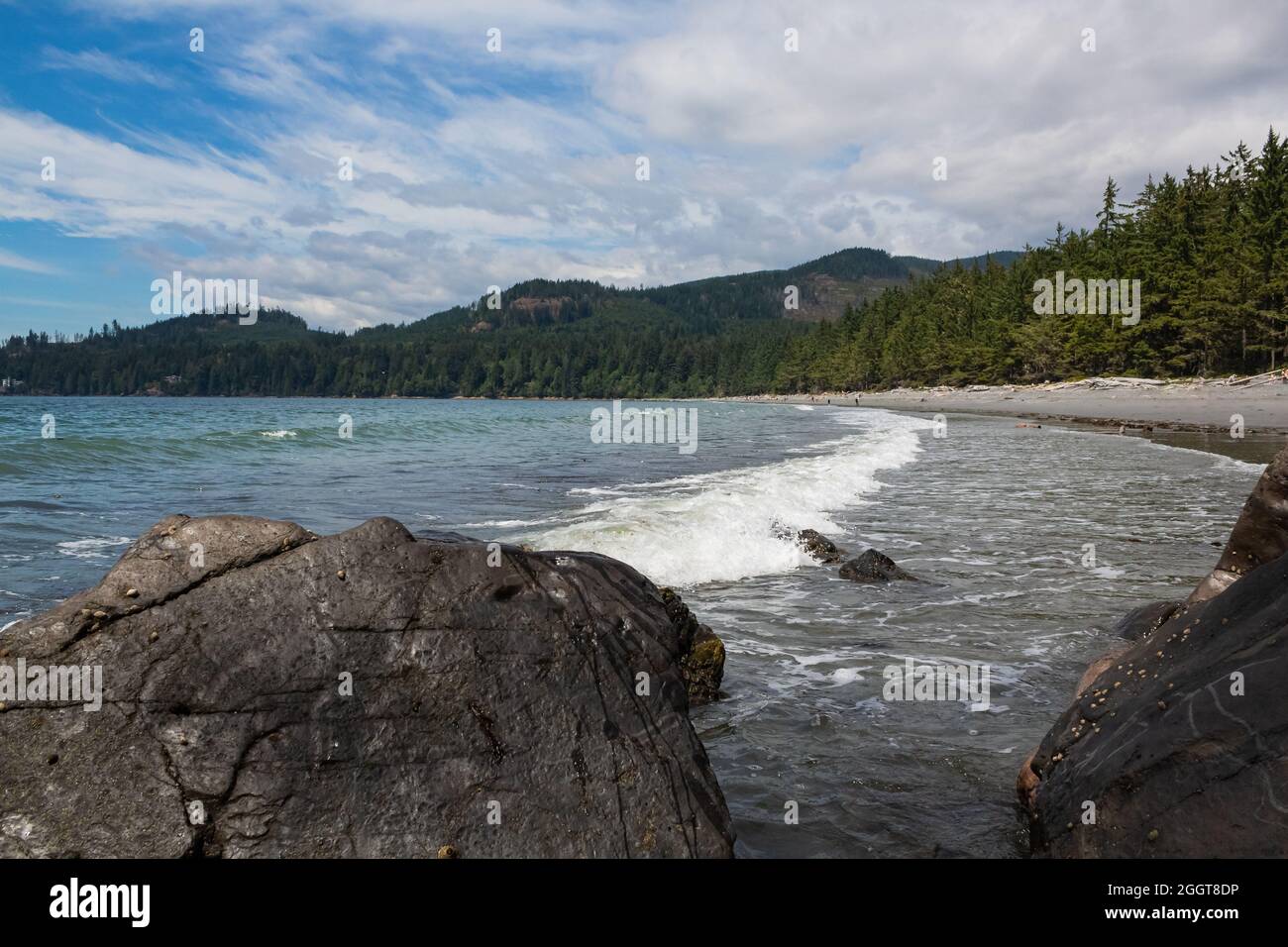 Beautiful seascape of a beach with foamy waves and coniferous forest in the background. Vancouver Island, BC, Canada. Street view, travel photo, copy Stock Photo