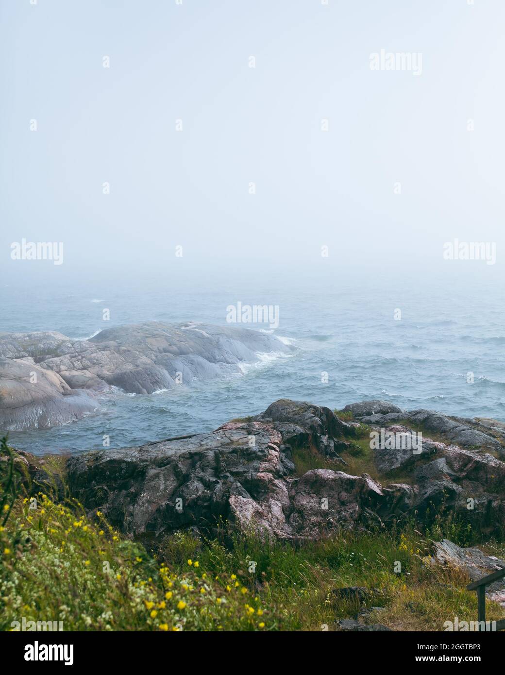 Northern landscape - foggy sea and waves on the rocks. Up on a cliff. Yellow flowers in the front. Stock Photo