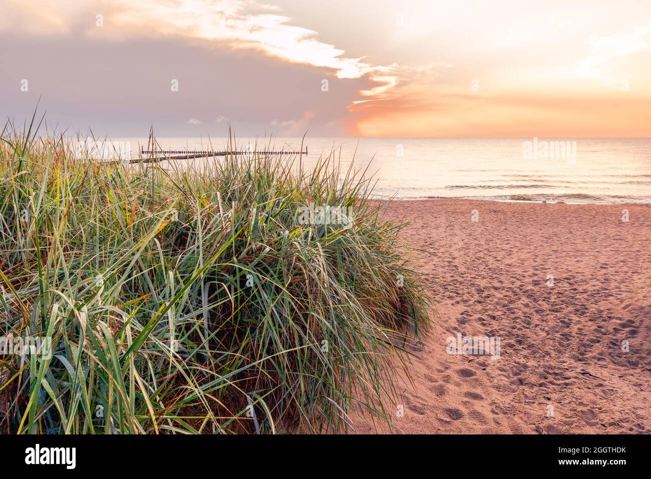 Entrance to a beautiful, empty beach on the Baltic Sea, sandy beach and tall grass in the foreground, setting sun in the background Stock Photo