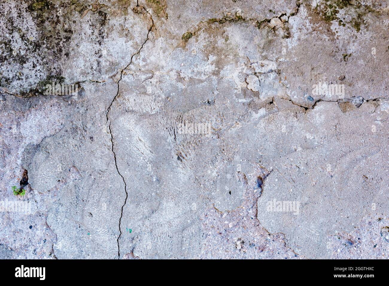 Grey stone wall texture may used as background Stock Photo - Alamy