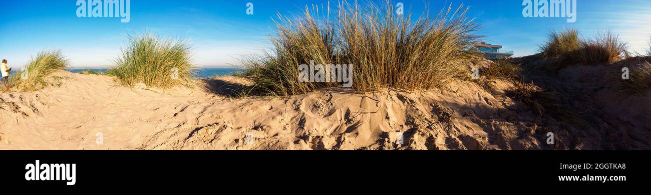 panorama of a sand dune at the beach of Koksijde  in Flanders in a warm autumnal light with a glimp of a building Stock Photo