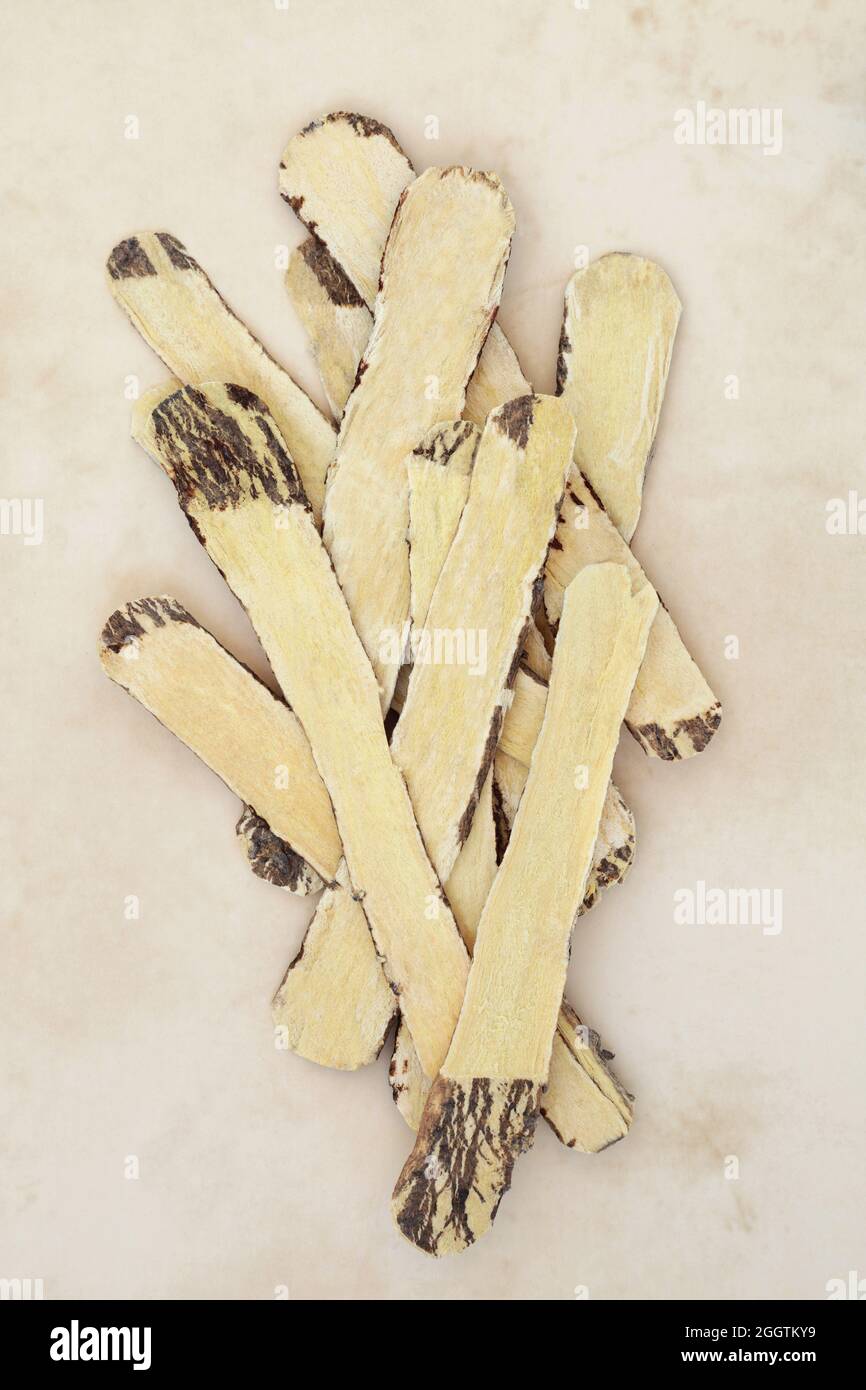 Astragalus herb root used in Chinese herbal medicine to boost immune system, is anti ageing, anti inflammatory, used to treat respiratory illnesses. Stock Photo