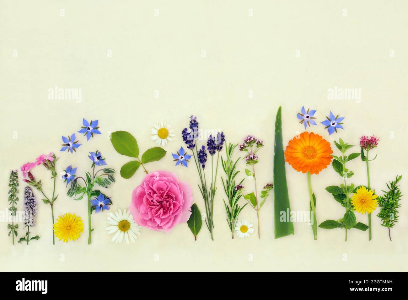 Edible Flower Collection