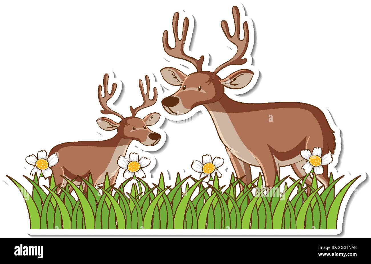 Two deers standing in grass field sticker illustration Stock Vector ...