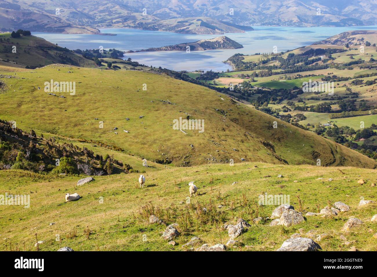 Rural south island hires stock photography and images Alamy