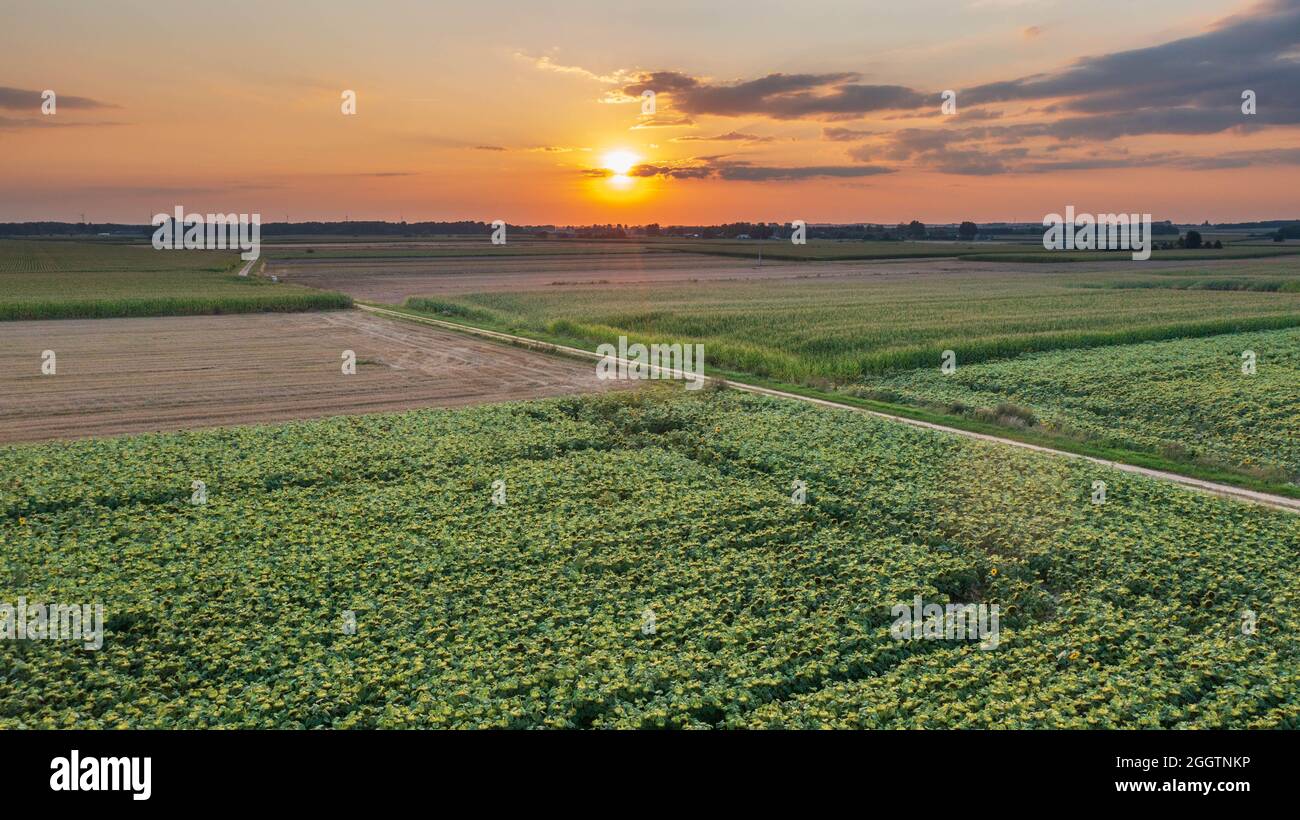 Colorful sunset over fields aerial in sunset, Podlaskie Voivodeship, Poland, Europe Stock Photo