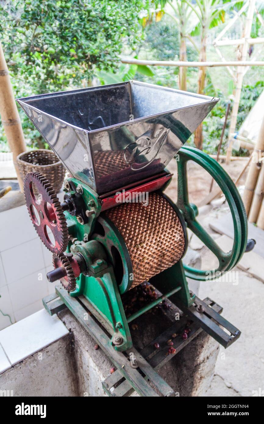 Process coffee making process salento hi-res stock photography and images -  Alamy