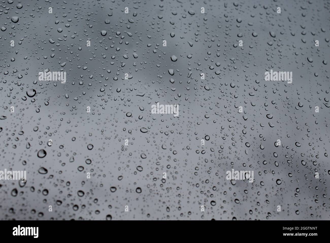 Rainy day, view from the windows with a big drops Stock Photo - Alamy