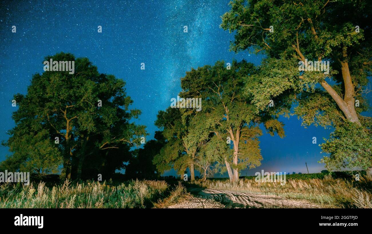 Milky Way Galaxy In Night Starry Sky Above Tree In Summer Forest ...