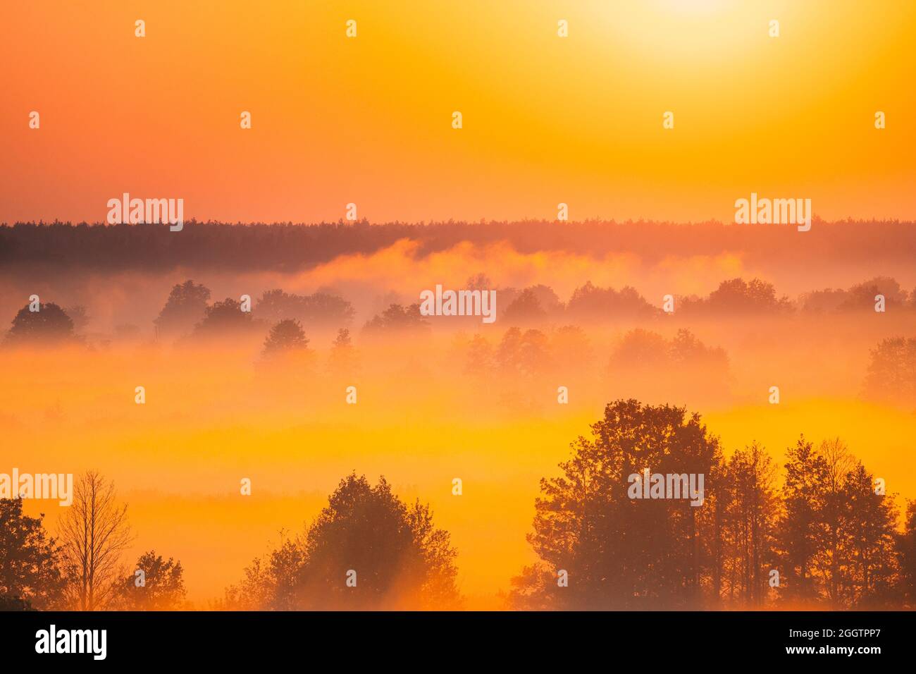 Tree and Rising Sun  Sunrise, Beautiful nature pictures, Sun view