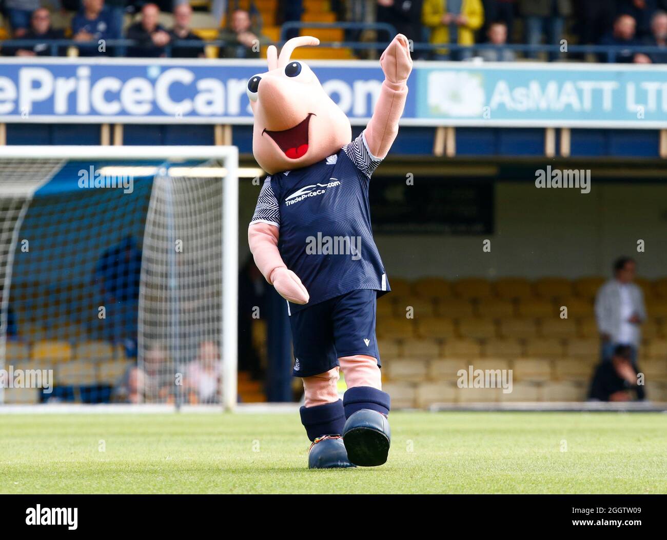 Stockport county mascot hires stock photography and images Alamy