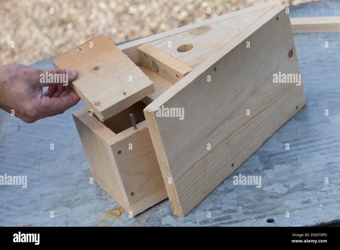 selfmade wooden tit box, installation of the cleaning hatch, series