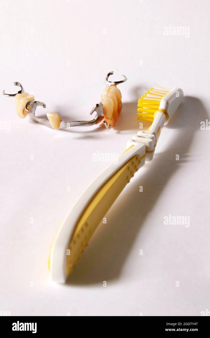 removable partial denture with toothbrush Stock Photo Alamy
