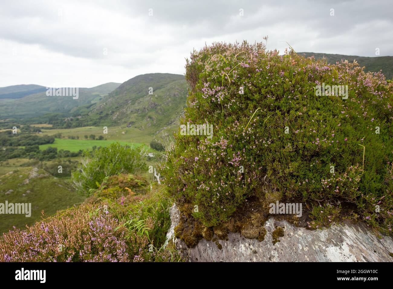 Vacation holiday sight South West Ireland Eire Stock Photo