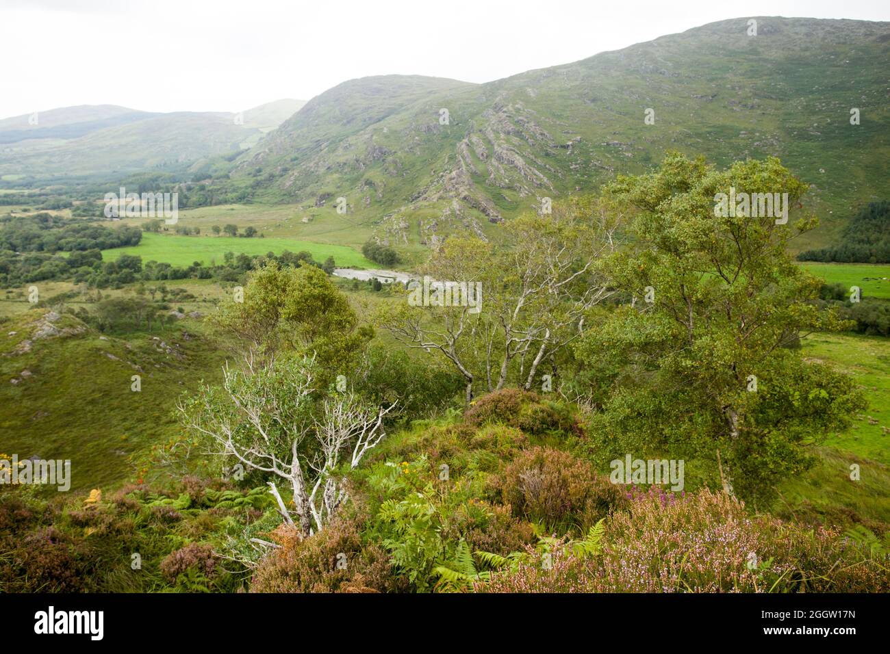 Vacation holiday sight South West Ireland Eire Stock Photo