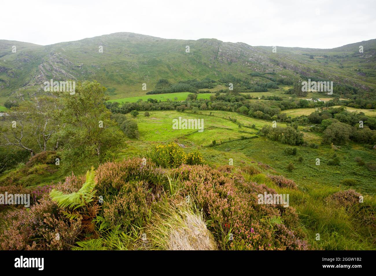 Vacation holiday sight South West Ireland Eire Stock Photo