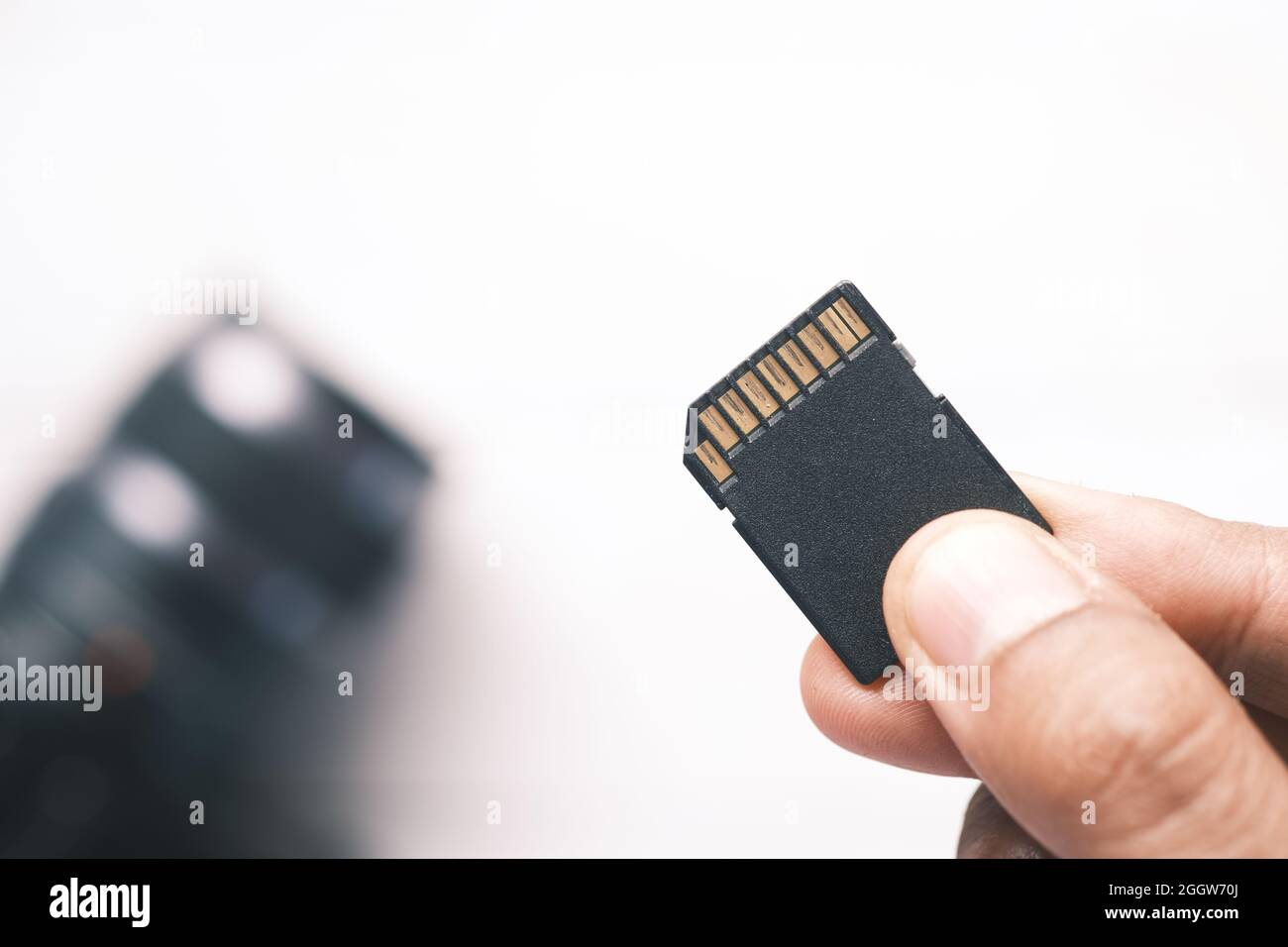 hand hold SD memory card Stock Photo Alamy