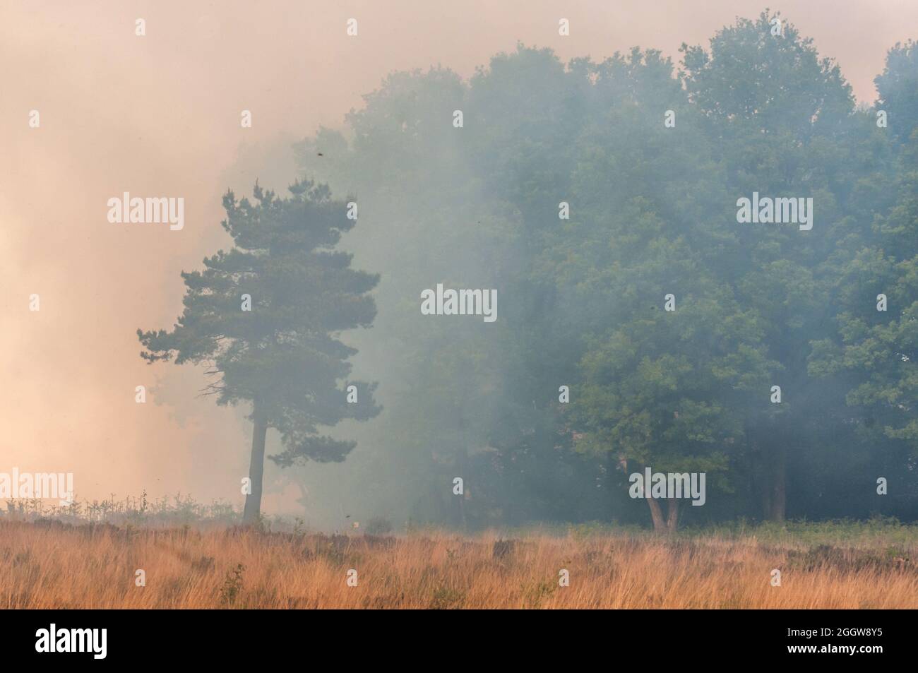Chelwood Gate High Resolution Stock Photography and Images Alamy