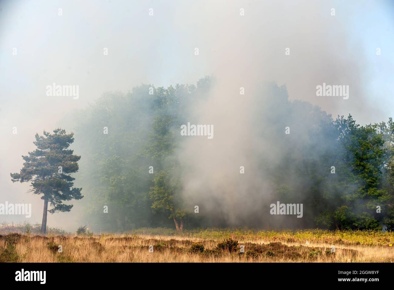 Chelwood gate hires stock photography and images Alamy